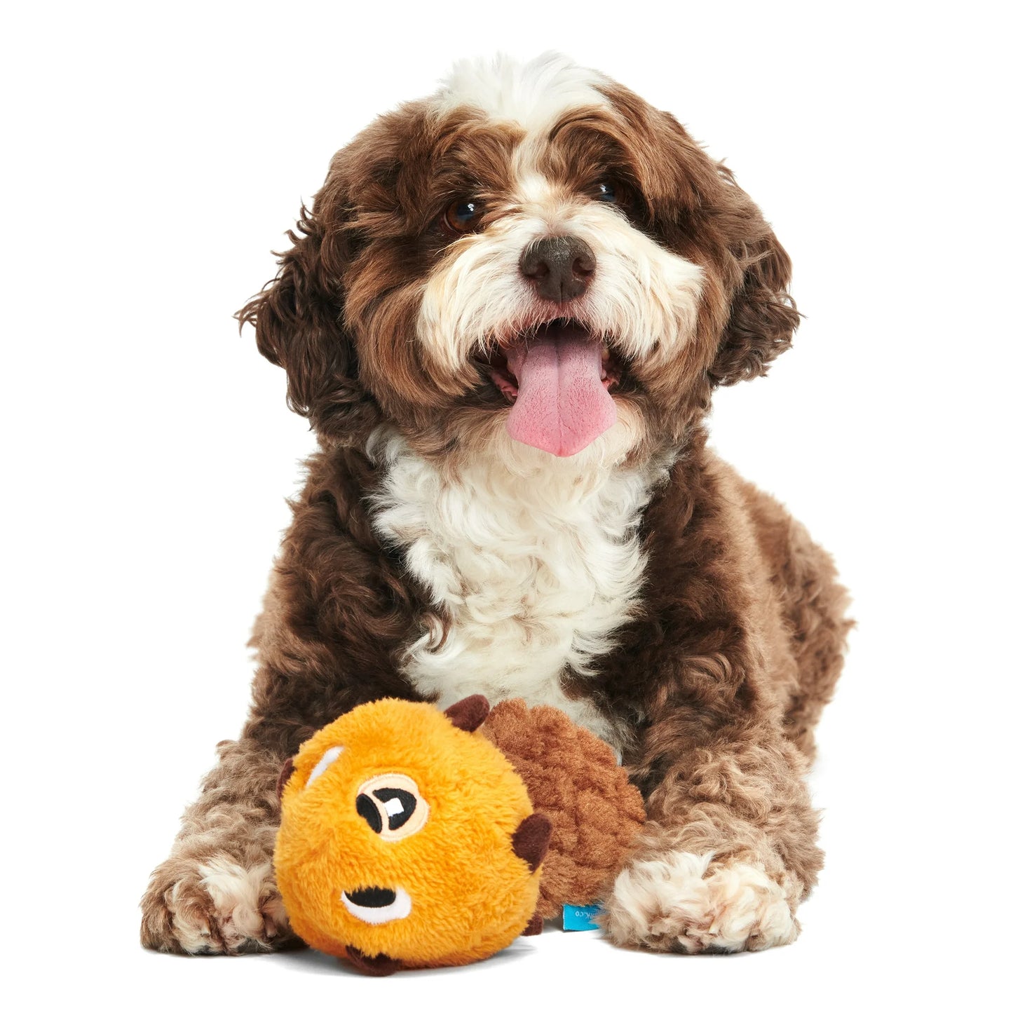 Beaver Plush Toy