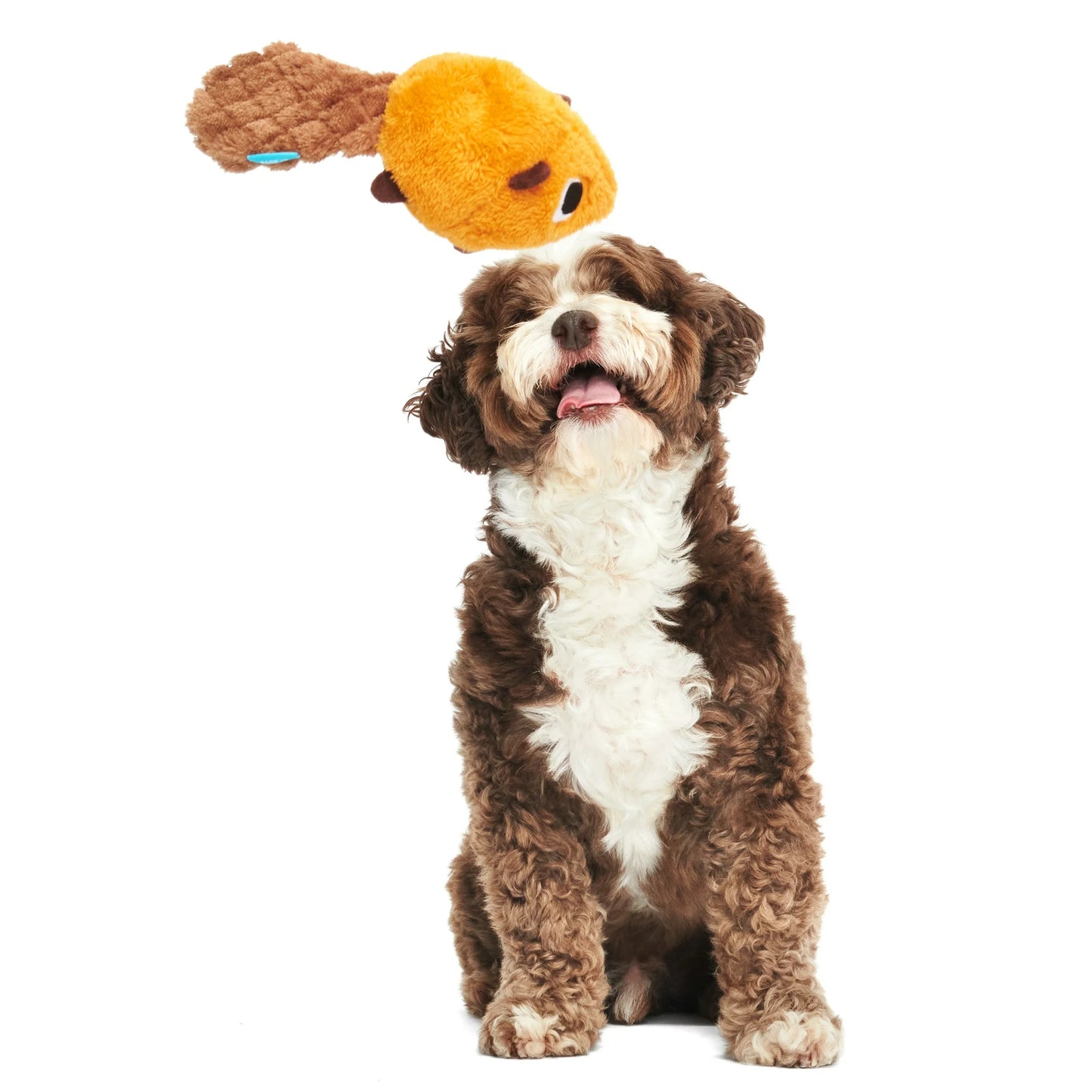 Beaver Plush Toy